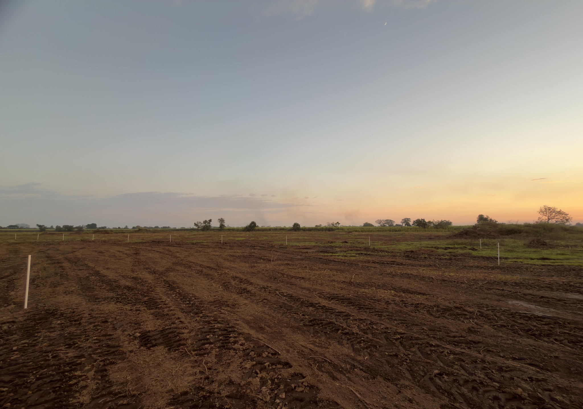 Vista panorámica de los lotes LIMAS Inmobiliaria